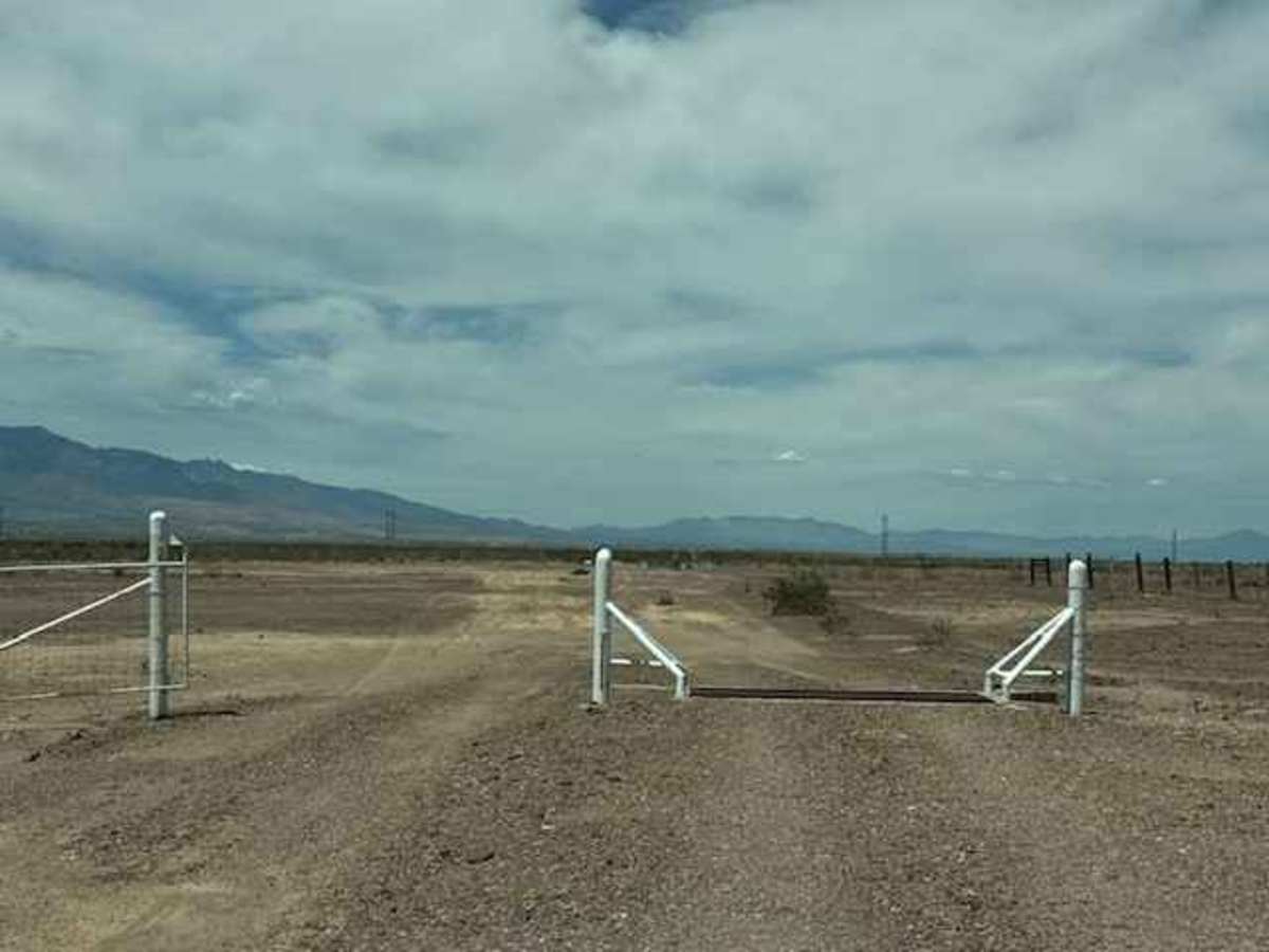 BLM SS1020 photo 2