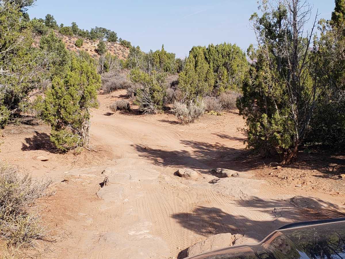 Wire Mesa trail photo