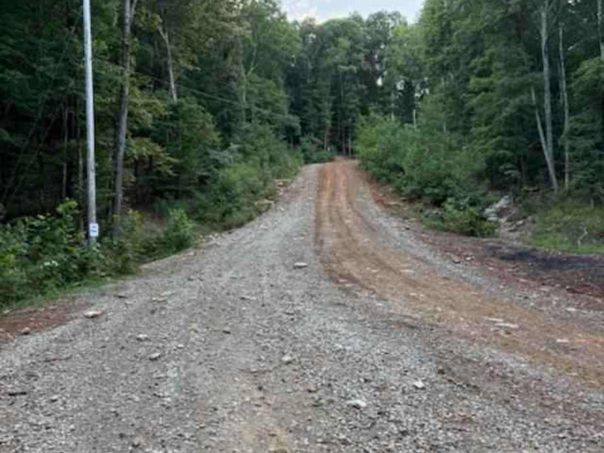 Main Road trail photo