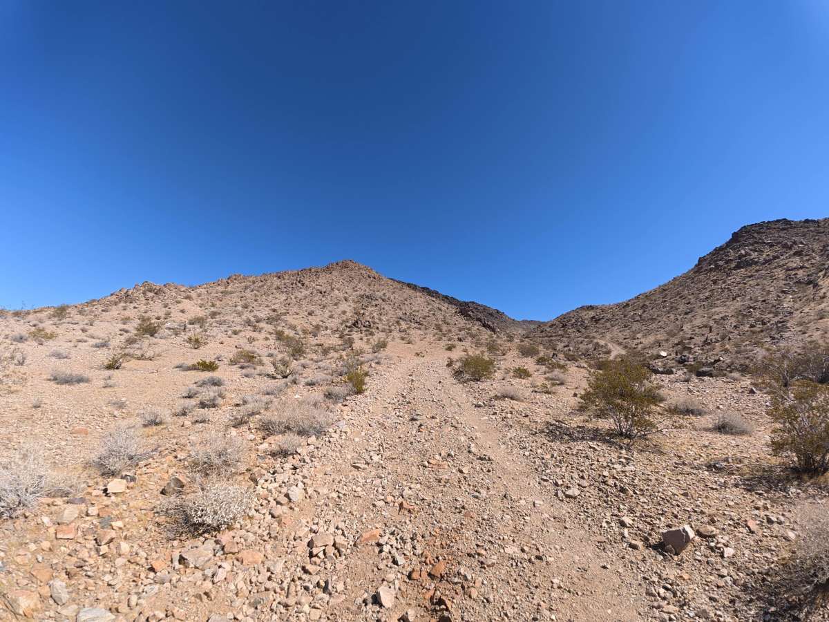 BLM 0M6602 photo 4