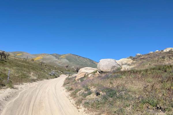 Dove Springs Canyon