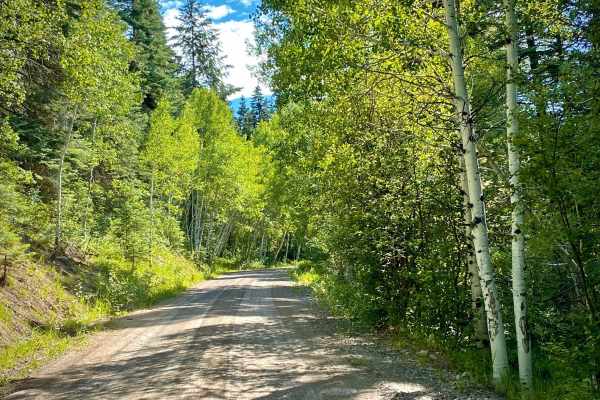 Fawn Gulch-Fr Rd 666
