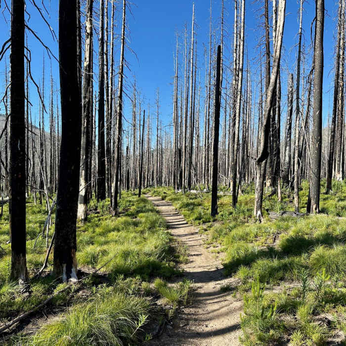 Near Continental Divide Trail: Montana-Idaho Section 24