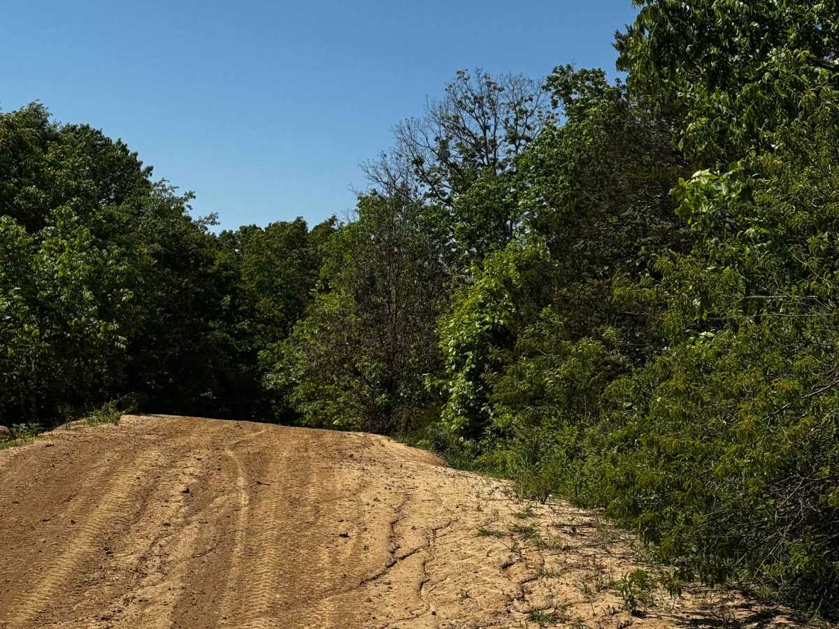 Western Forest Trail photo 4