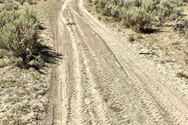 Deer Creek Trail