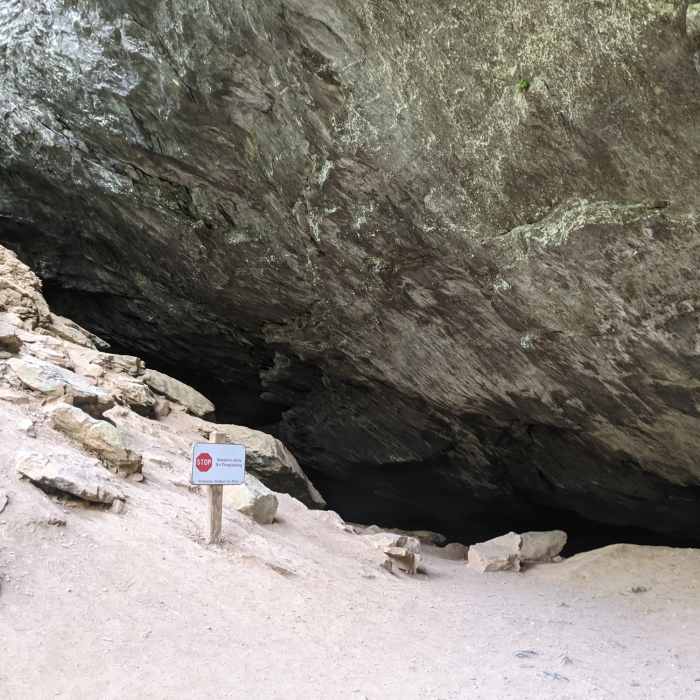 Near Cedar Creek Trail