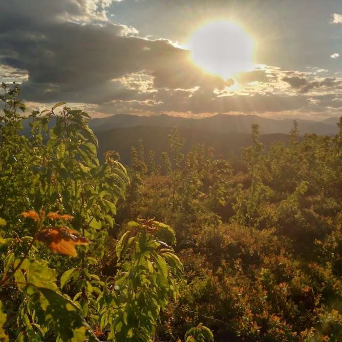 Near Foss Mountain Trail