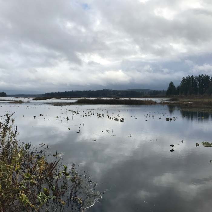 Near Silver Lake Wetland Haven Trail