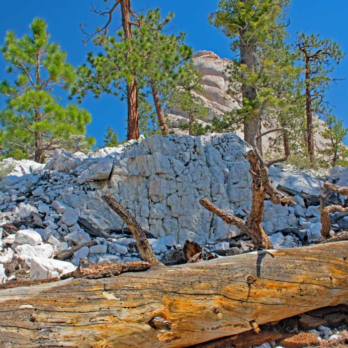 Near Heart of the Domelands