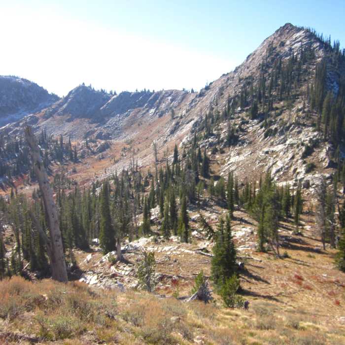 Near Buckhorn Trail #96