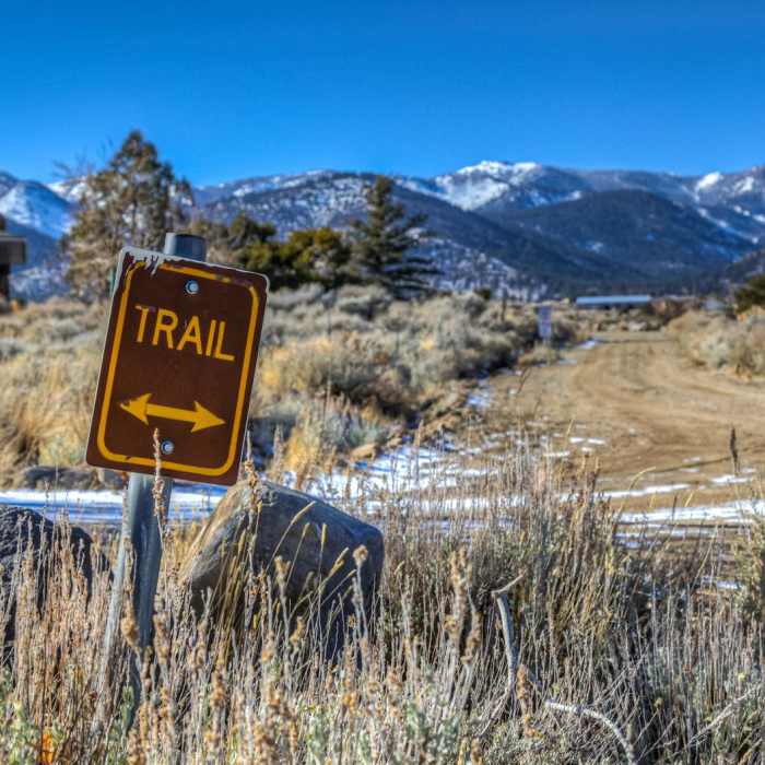 Near Lower Whites Creek Trail
