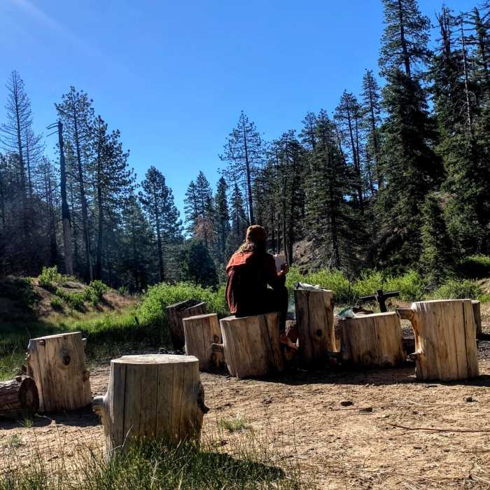 Near Piedra Blanca to Haddock Camp