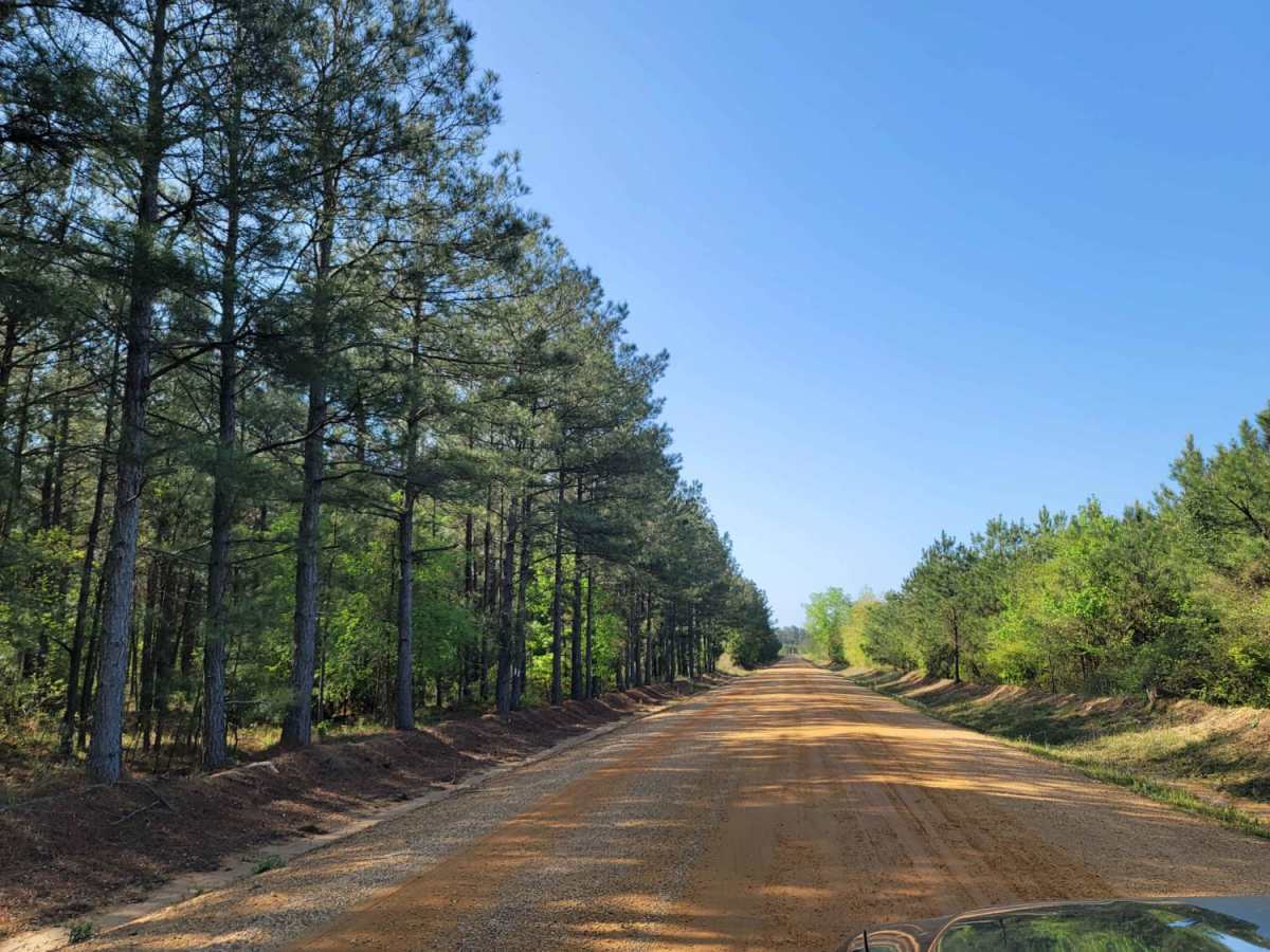 The Arkansas Overland Route - Section 13 - Moro State Park photo 2