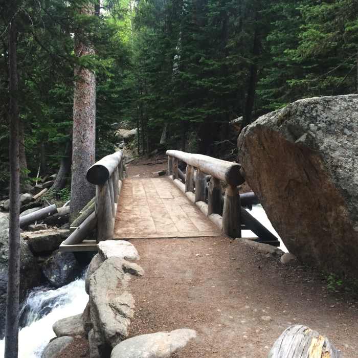 Near Wild Basin Trail