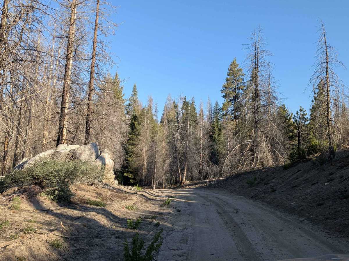 Parker Forks - FS 22S18 photo 6