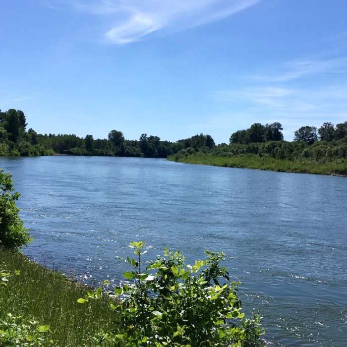 Near Oxbow Slough Loop