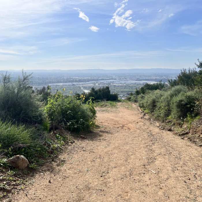 Near Van Tassel to Mount Bliss