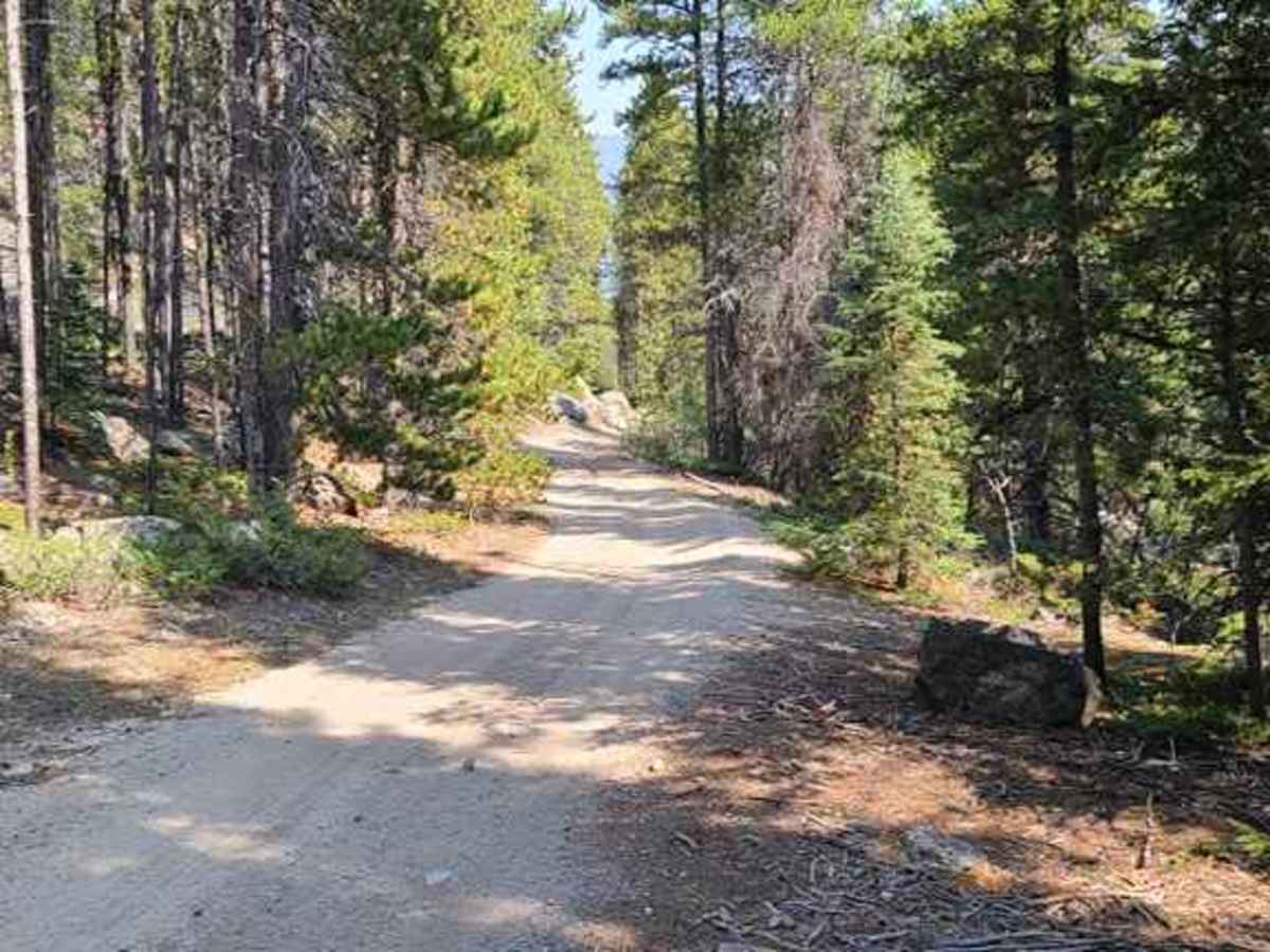 Lower Parkside trail photo