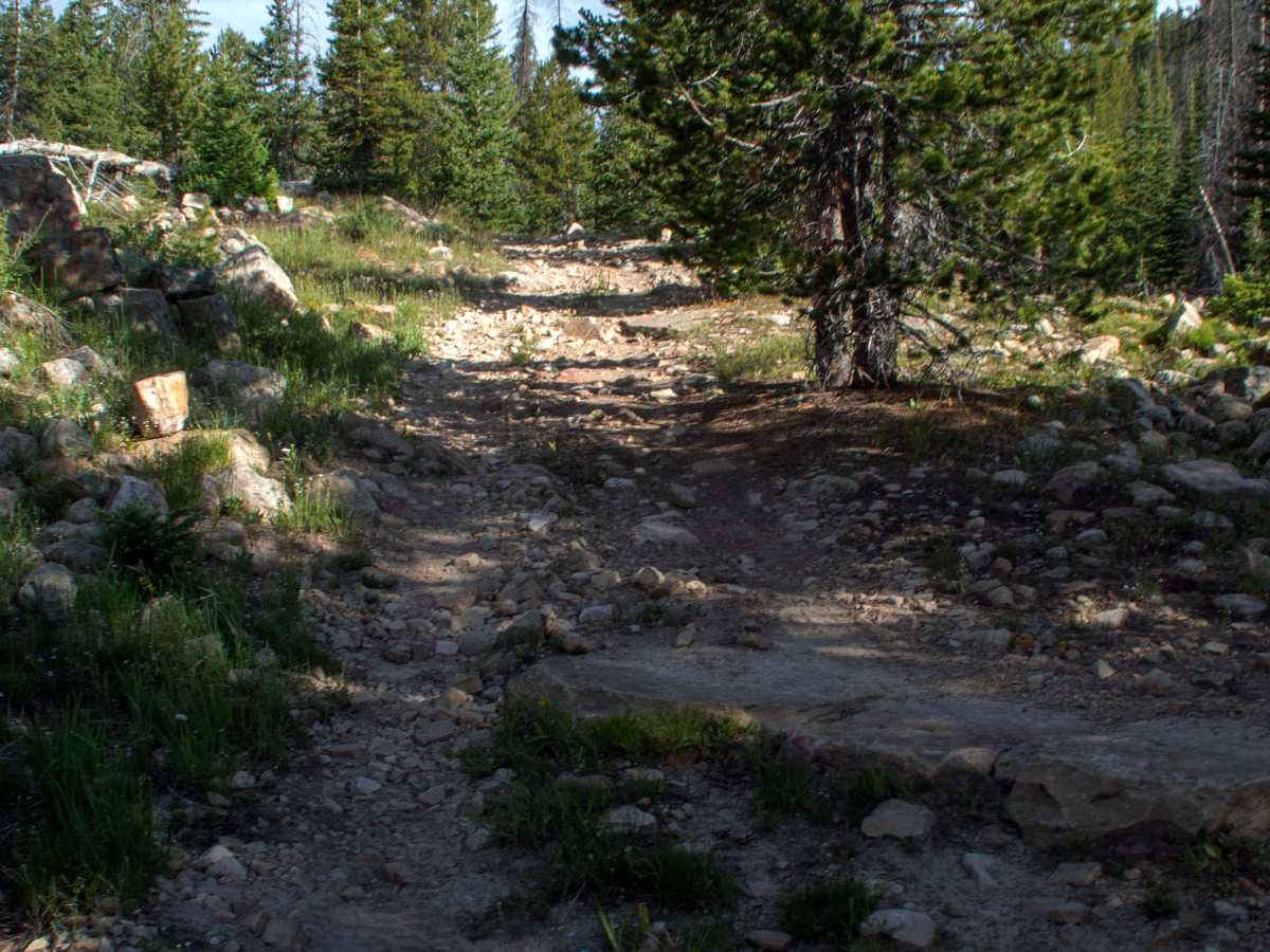 Slate Gorge - FS 80964 photo 6