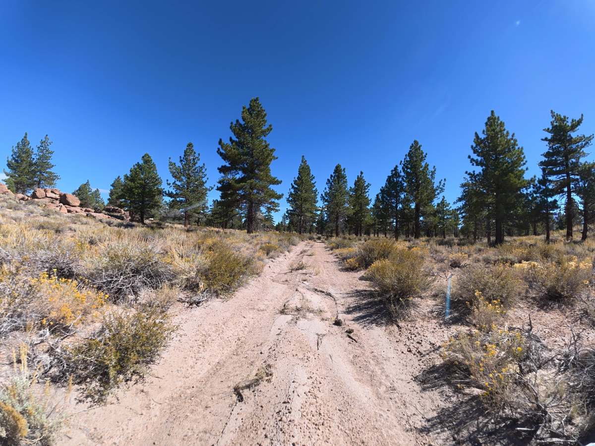 FS 4S128 trail photo