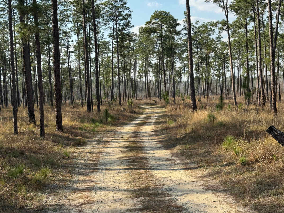 Frog Pond Road photo 3