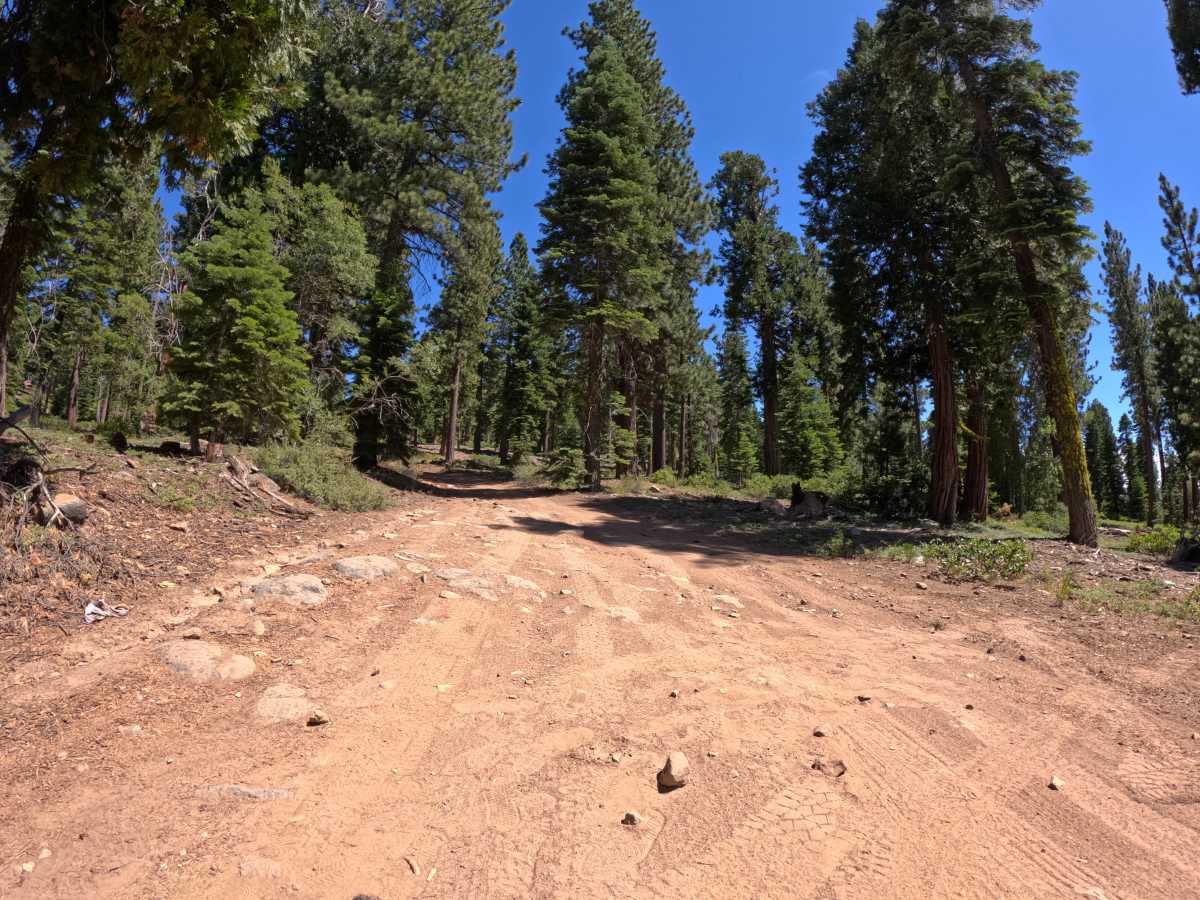 Red Cedar Overlook - FS 16N57 photo 6