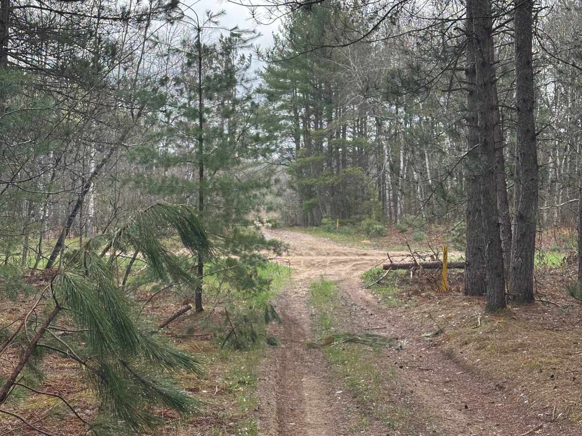 Hayesego Trail photo 4