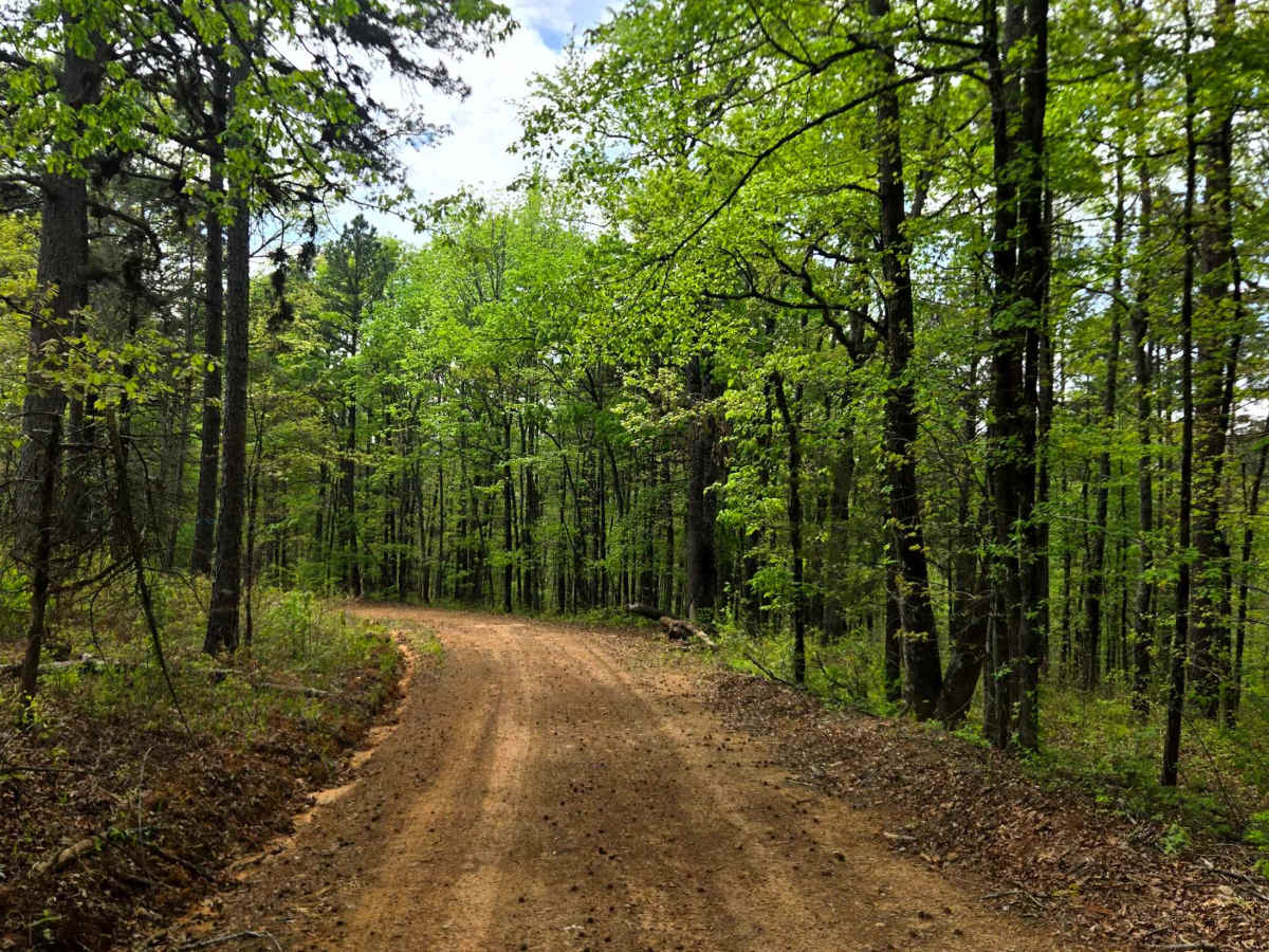 Graham Road trail photo