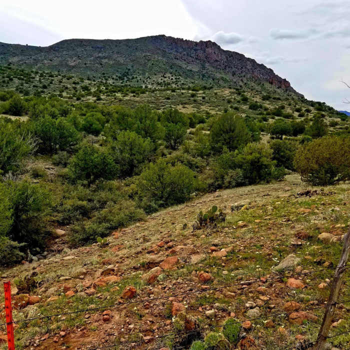 Field close to watering hole Near Towel Creek Trail #67