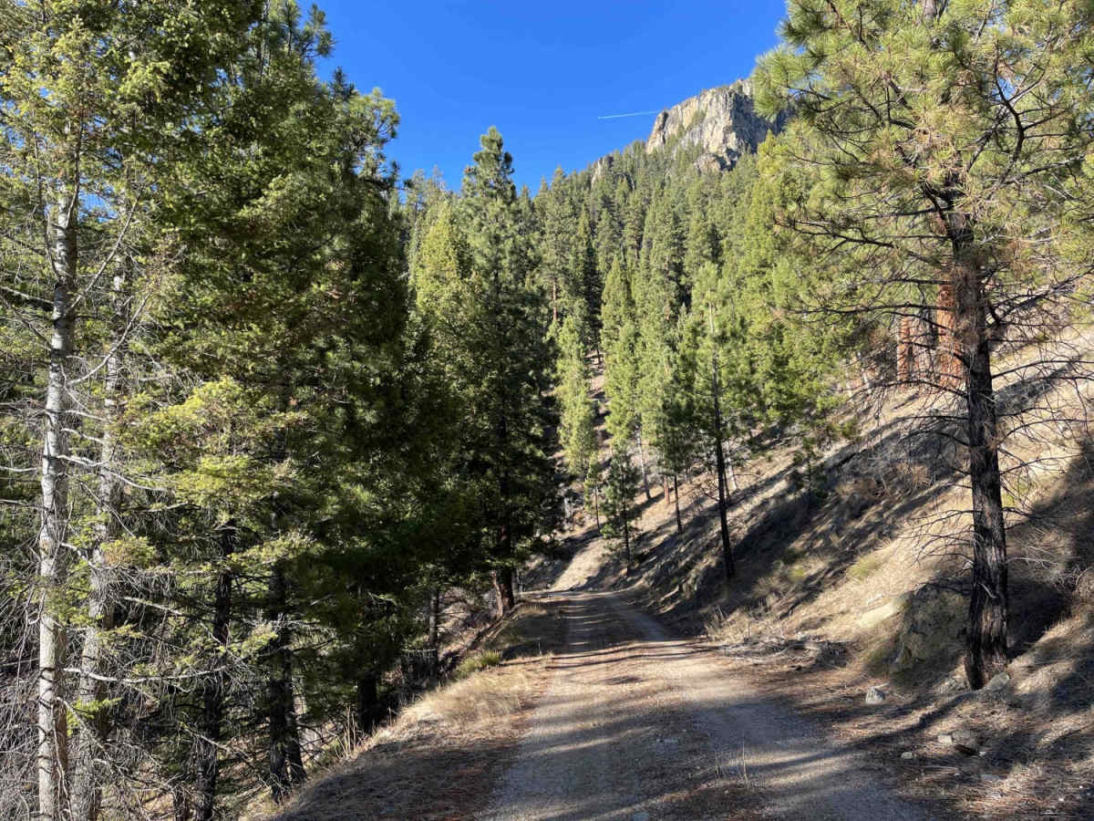 Little Boulder Side Trail photo 4