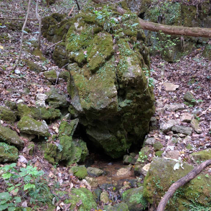Near Whites Creek Trail