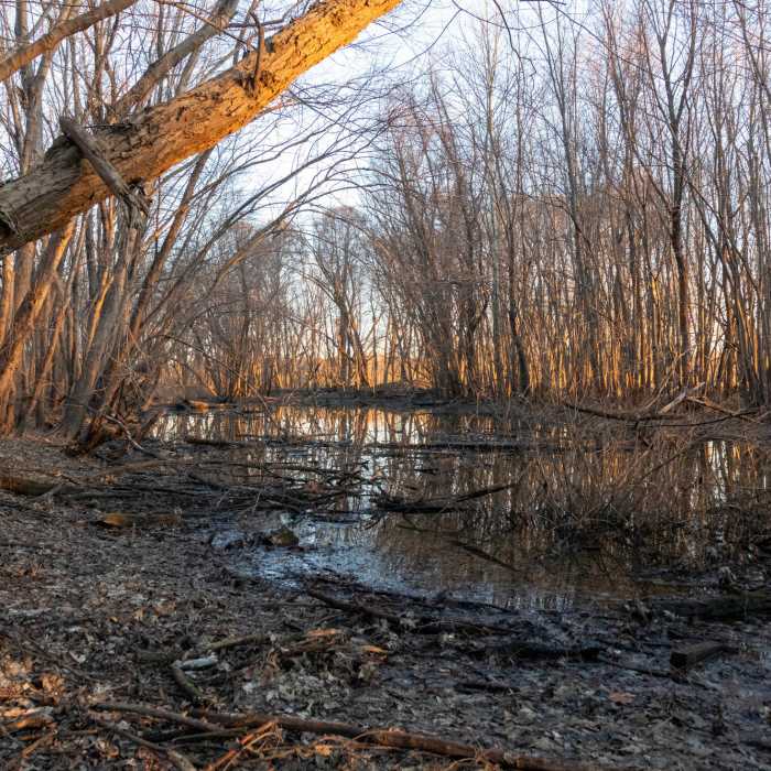 Near Main Trail