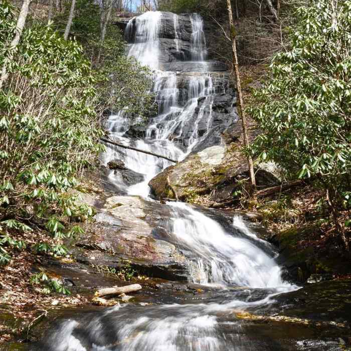 Near Bearden Falls Trails