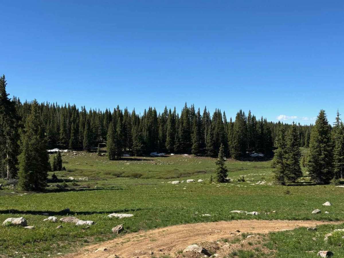 Cow Lake Road photo 5