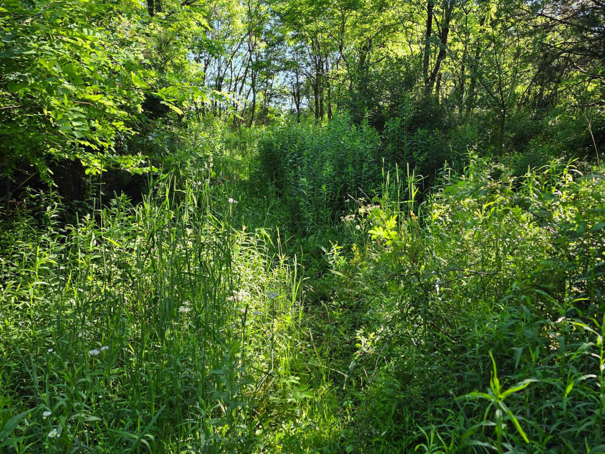 Single Track J3 photo 3