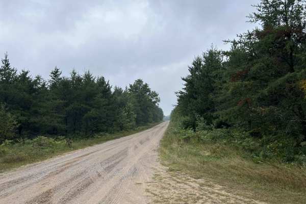 Chickadee Road - FS 2102