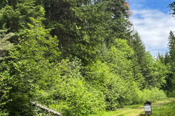 Bear Pasture - FS 2212-200