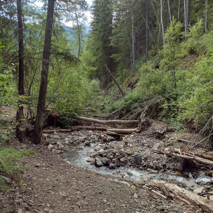 Eaton Creek below the falls, late August. Near Eaton Falls
