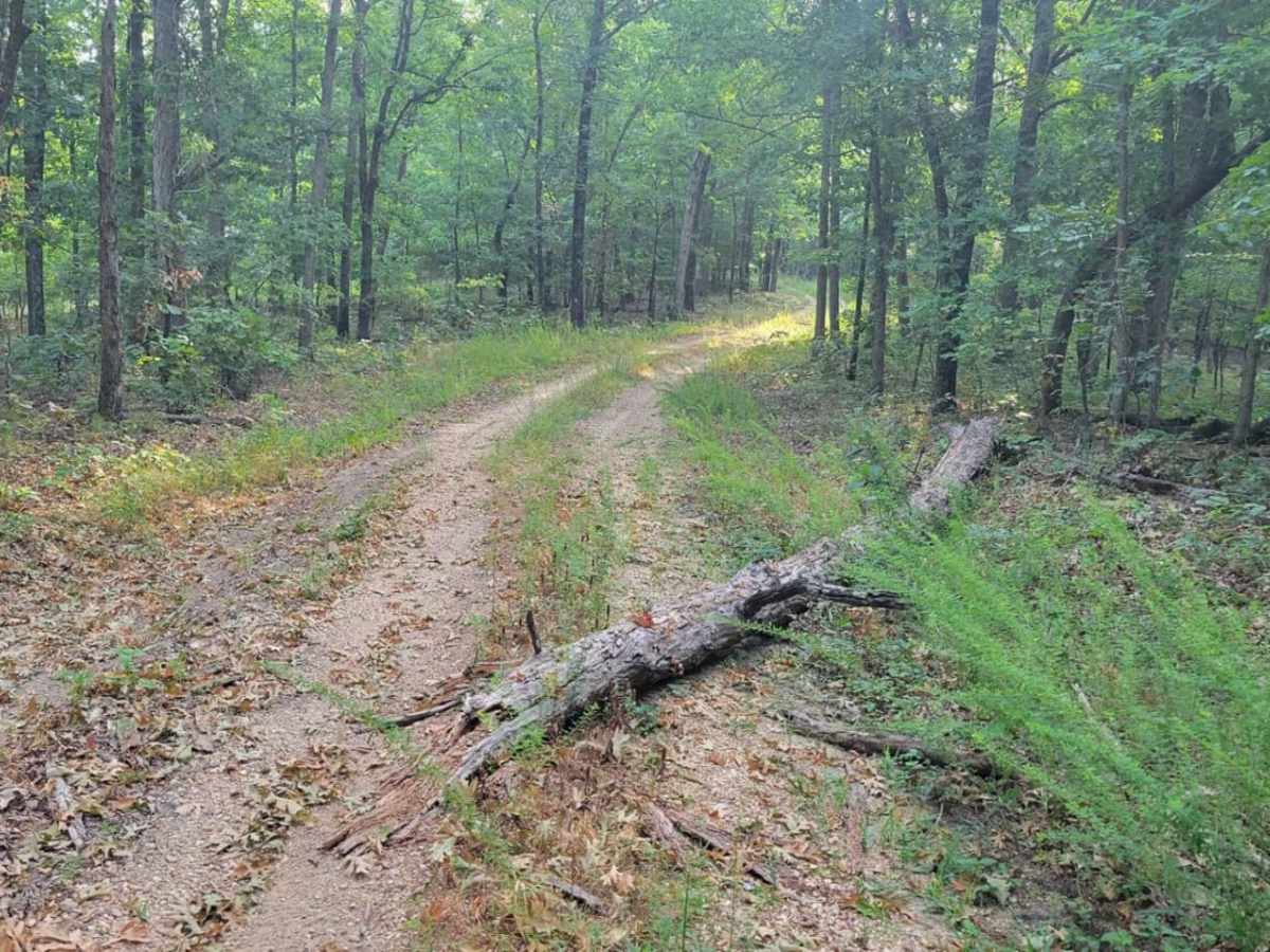 Gooseneck Trail photo 3