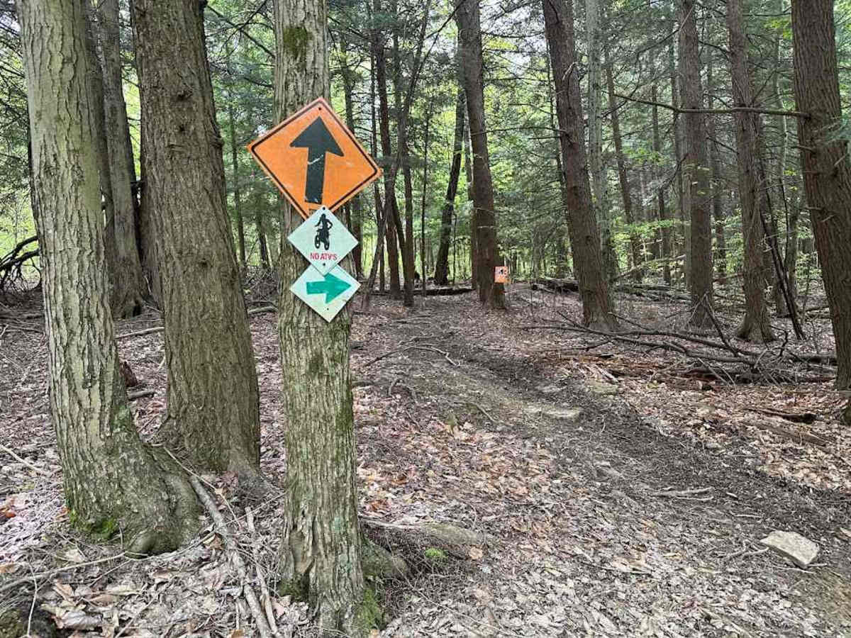 Orange Single Track G9 - A trail photo