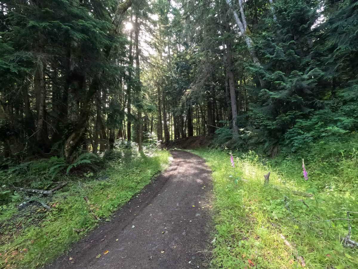 Walking Horse Trail trail photo