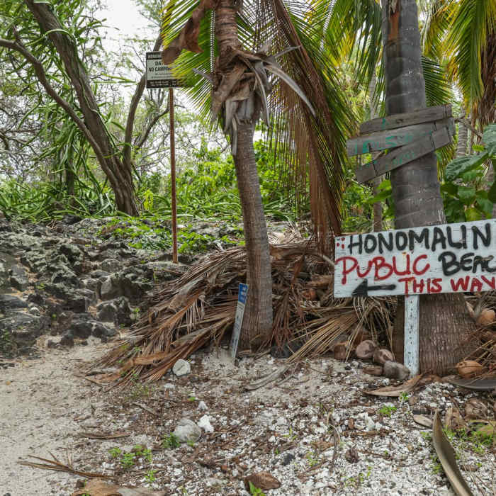 Near Honomalino Bay Trail Near Honomalino Bay Trail