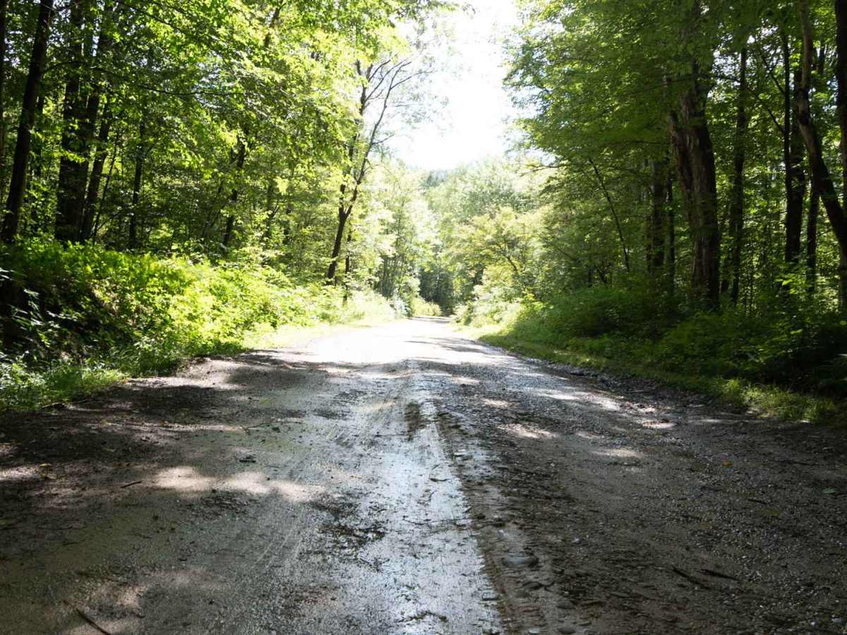 Lime Stone Run Road photo 3