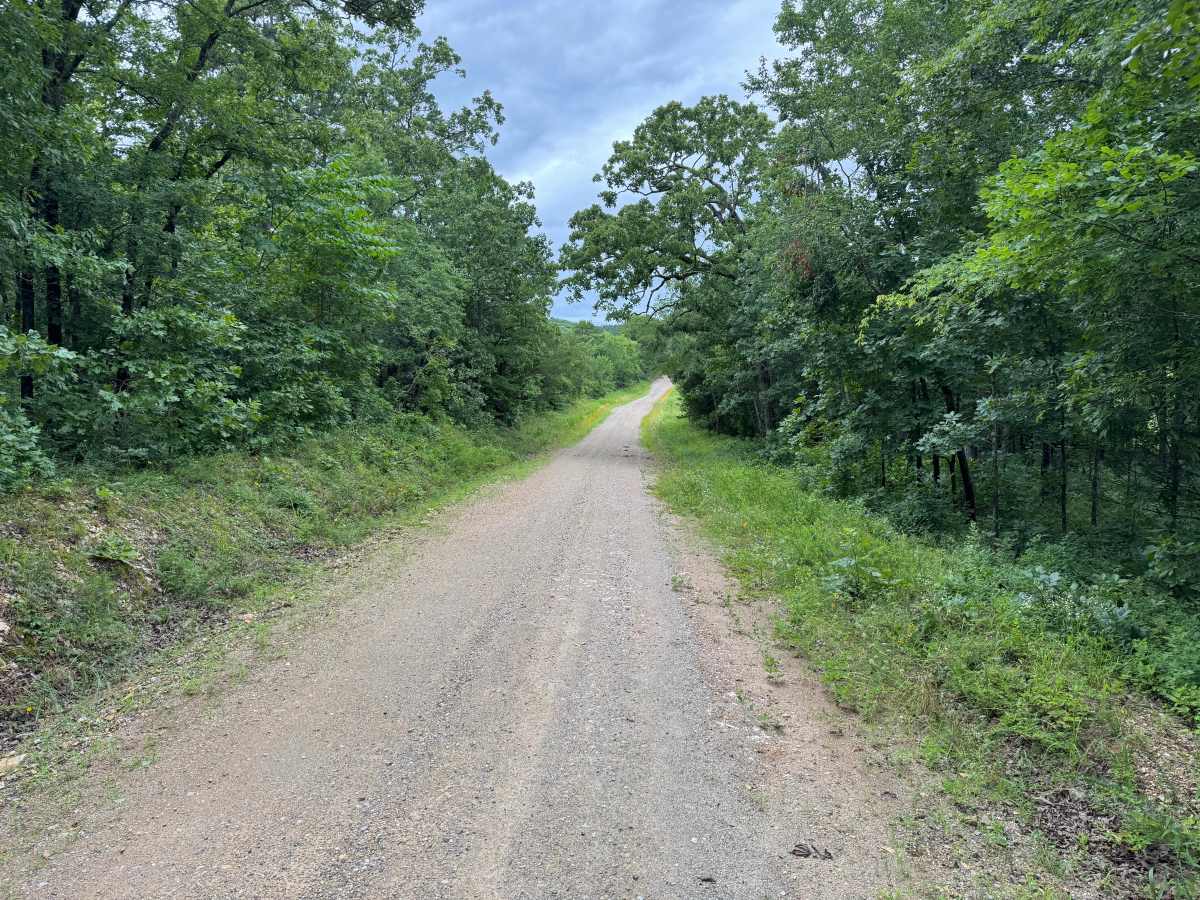 West Springs Branch trail photo