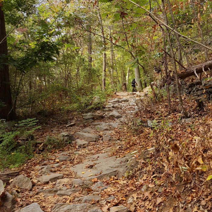 A rocky climb on the northeast part of the trail. Near North Wissahickon Loop