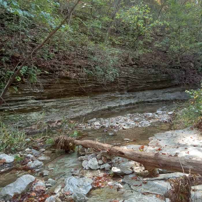 Near Devil's Eyebrow Trail
