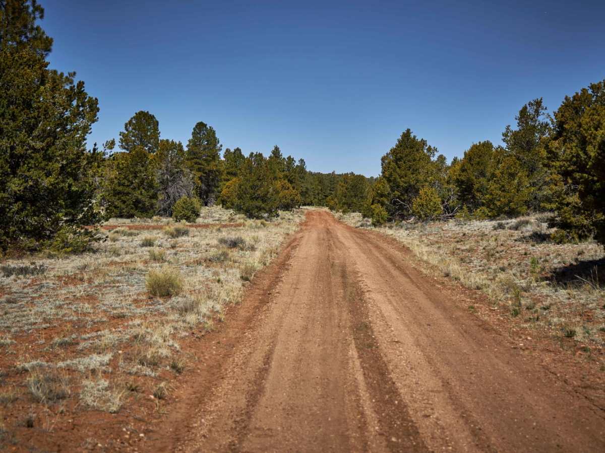 310 Connector trail photo