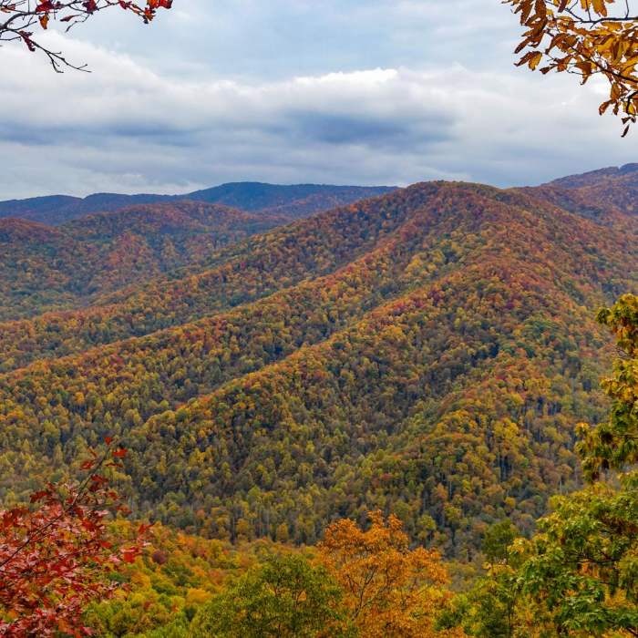 Near Joyce Kilmer-Slickrock Wilderness Loop Near Joyce Kilmer-Slickrock Wilderness Loop