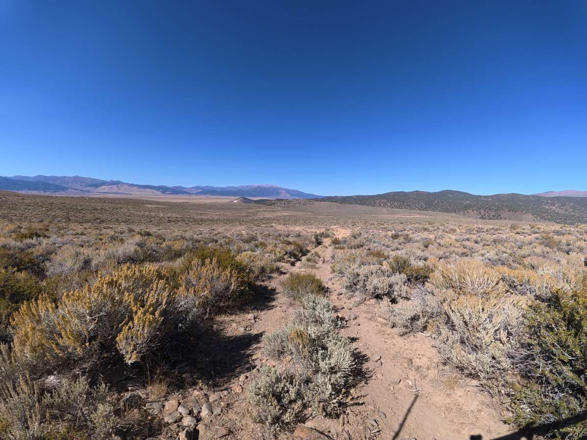 Dog Creek West trail photo