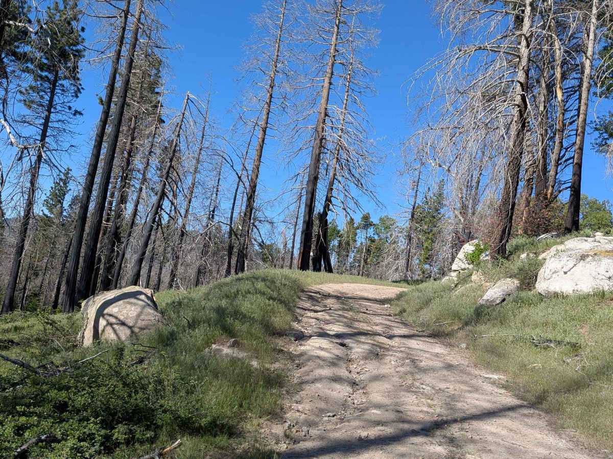 Black Mountain - FS 32E360 photo 2